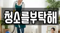 청소를부탁해