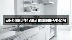 자동차에어컨청소냄새제거실내에바크리닝업체