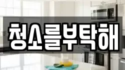 청소를부탁해