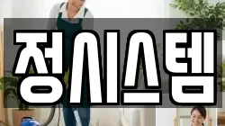 정시스템