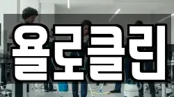 욜로클린