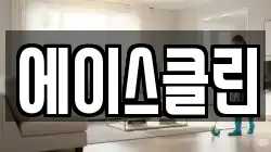 에이스클린