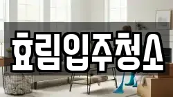 효림입주청소