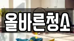 올바른청소