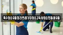 특수청소유품정리쓰레기집청소고독사청소민들레유품