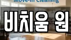 비치움 원