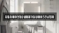 자동차에어컨청소냄새제거실내에바크리닝업체