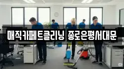 매직카페트클리닝 종로은평서대문