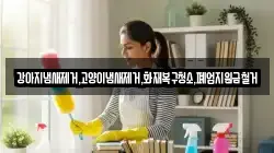 서울특별시 종로구 통의동 청소,입주청소,사무실청소,에어컨청소,특수청소,상가청소,거주청소,유품정리