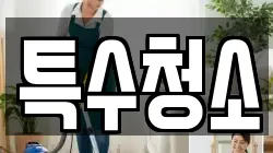 특수청소