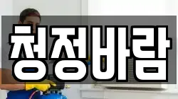 청정바람