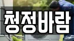 청정바람