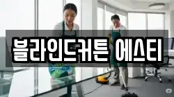 블라인드커튼 에스티