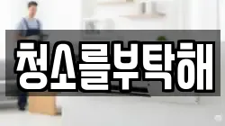 청소를부탁해