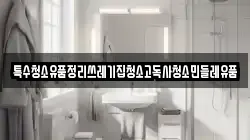 특수청소유품정리쓰레기집청소고독사청소민들레유품