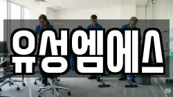 유성엠에스