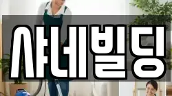 샤네빌딩