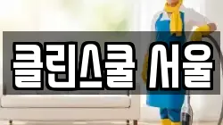클린스쿨 서울