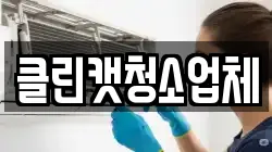 클린캣청소업체