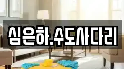 심은하.수도사다리