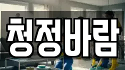 청정바람