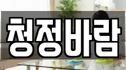 청정바람