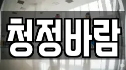 청정바람