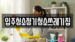 입주청소정기청소쓰레기집