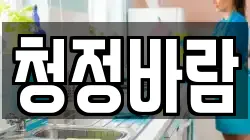 청정바람