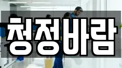청정바람