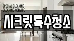 시크릿특수청소
