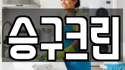 승구크린