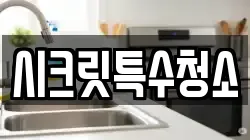 시크릿특수청소