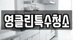 영클린특수청소