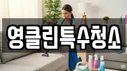 영클린특수청소