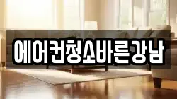 에어컨청소바른강남