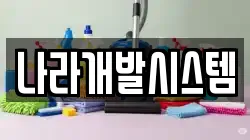 나라개발시스템