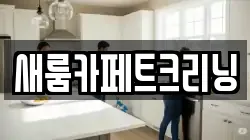 새룸카페트크리닝