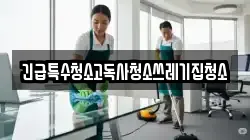서울 강남구 수서동 청소,입주청소,사무실청소,에어컨청소,특수청소,상가청소,거주청소,유품정리