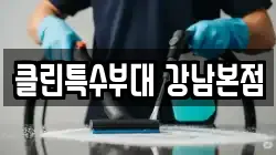 서울 강남구 압구정동 청소,입주청소,사무실청소,에어컨청소,특수청소,상가청소,거주청소,유품정리
