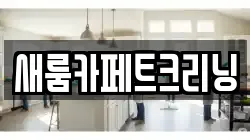 새룸카페트크리닝