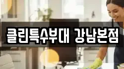 클린특수부대 강남본점