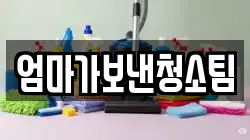 엄마가보낸청소팀