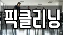 픽클리닝