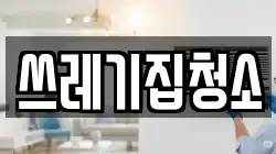 쓰레기집청소