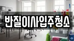 반질이사입주청소