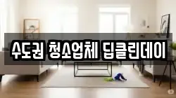 수도권 청소업체 딥클린데이