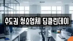 수도권 청소업체 딥클린데이