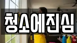 청소에진심