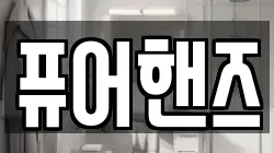 퓨어핸즈